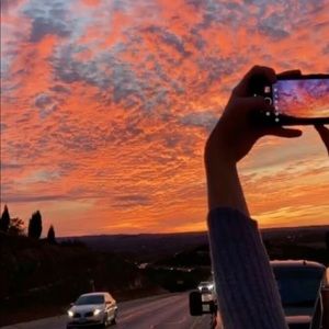 Meet your Posher, Nellie